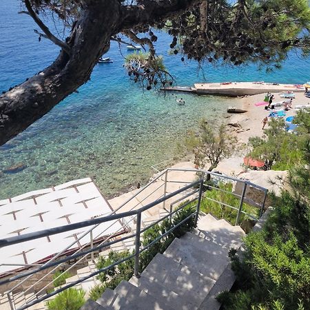 Luxury Apartments Villa Ruzmarina With New Heated Infinity Pool And Lounge Area Marusici  외부 사진