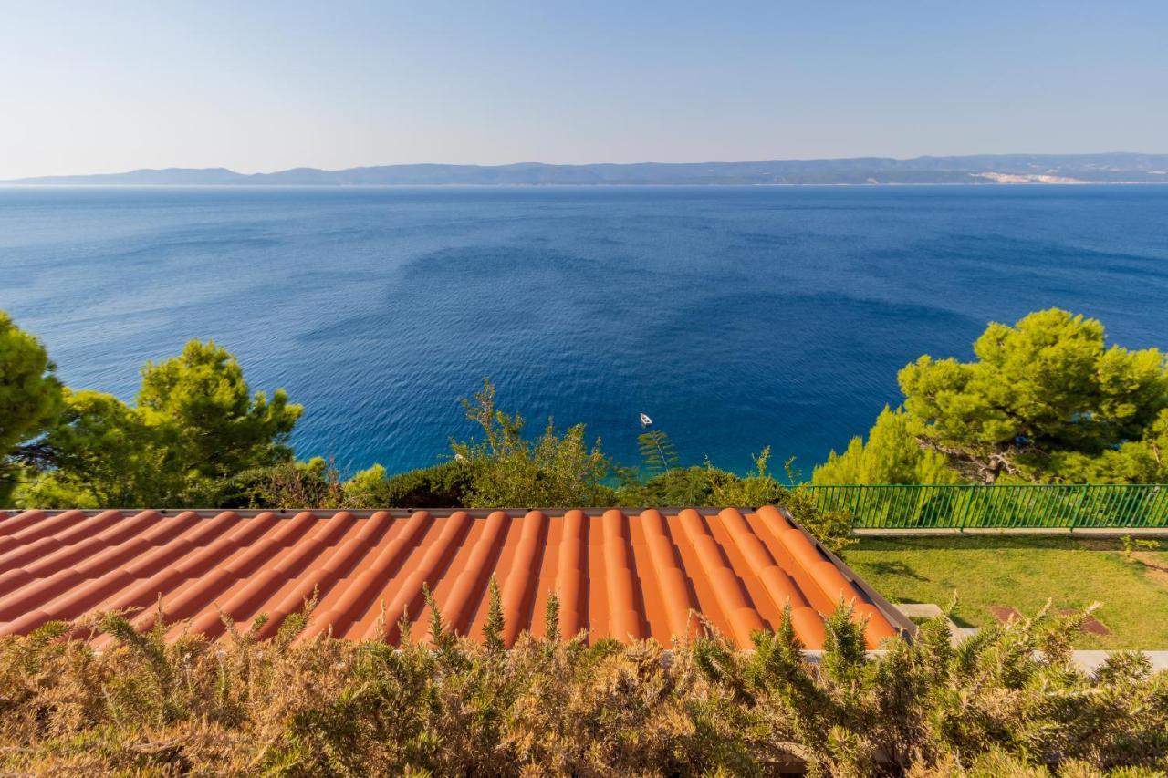 Luxury Apartments Villa Ruzmarina With New Heated Infinity Pool And Lounge Area Marusici  외부 사진